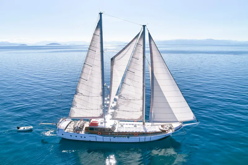 WHITE PEARL - exterior 5