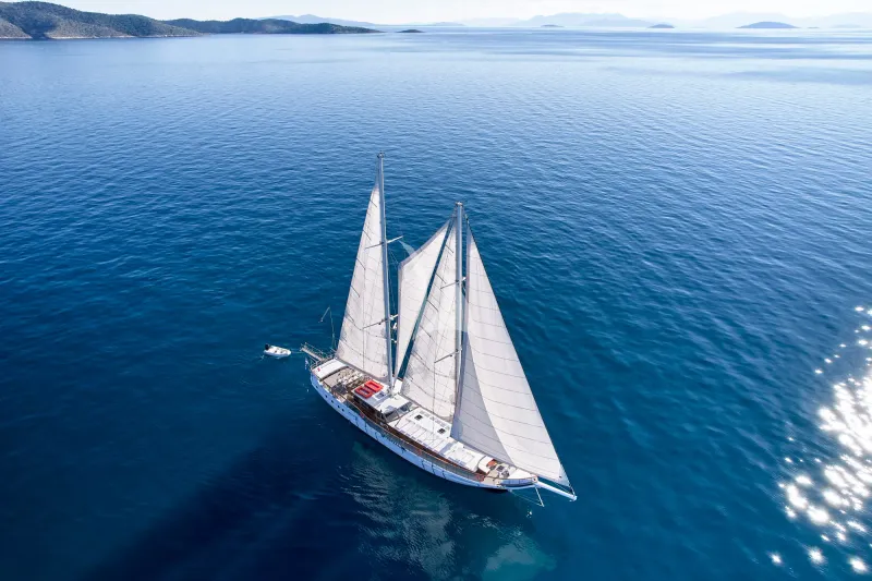 WHITE PEARL - exterior 4