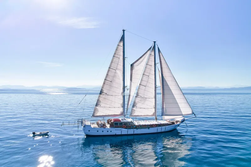 WHITE PEARL - exterior 8