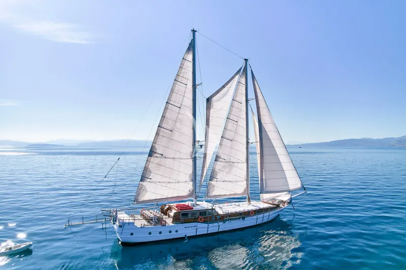 WHITE PEARL - exterior 7